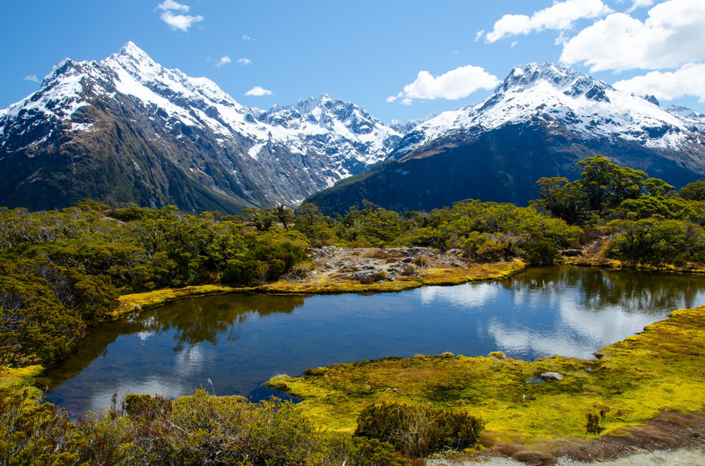New Zealand vs. The World: Why Indian Students are Pivoting to New Zealand